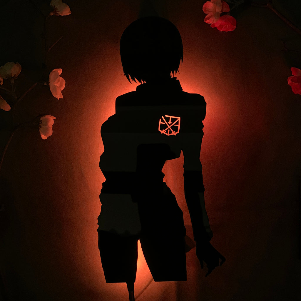 Attack on Titan Mikasa Ackerman anime silhouette light