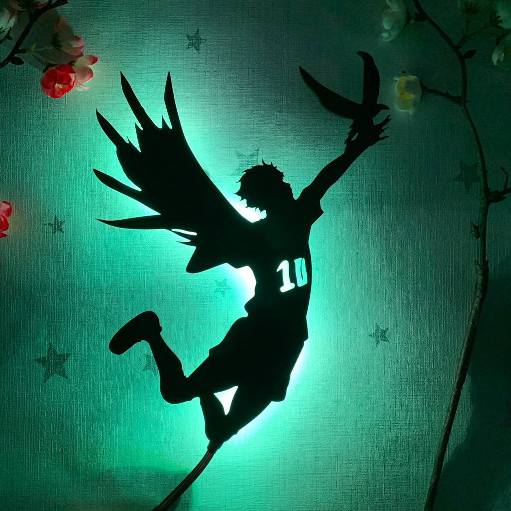 Haikyu!! Shoyo Hinata anime silhouette light