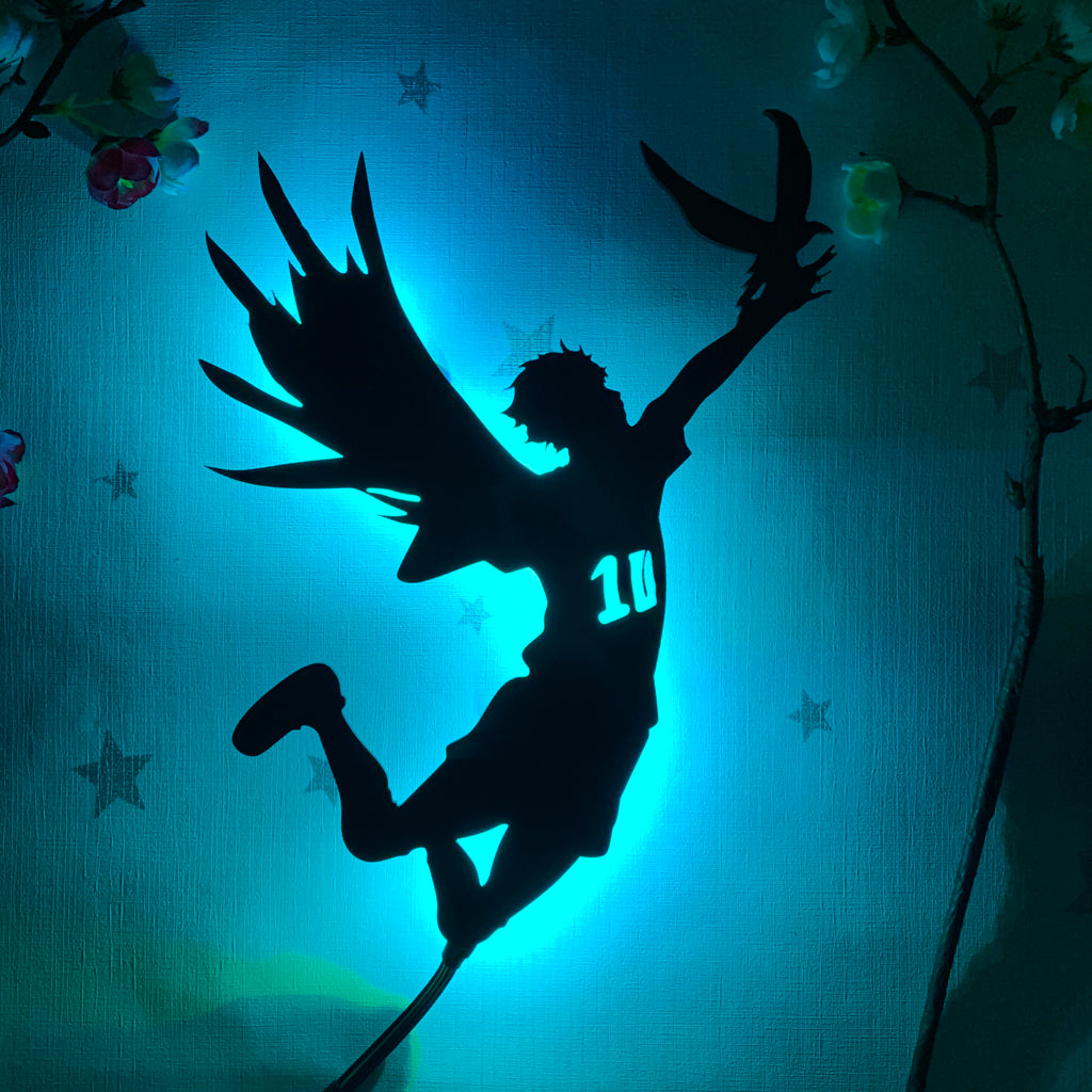 Haikyu!! Shoyo Hinata anime silhouette light