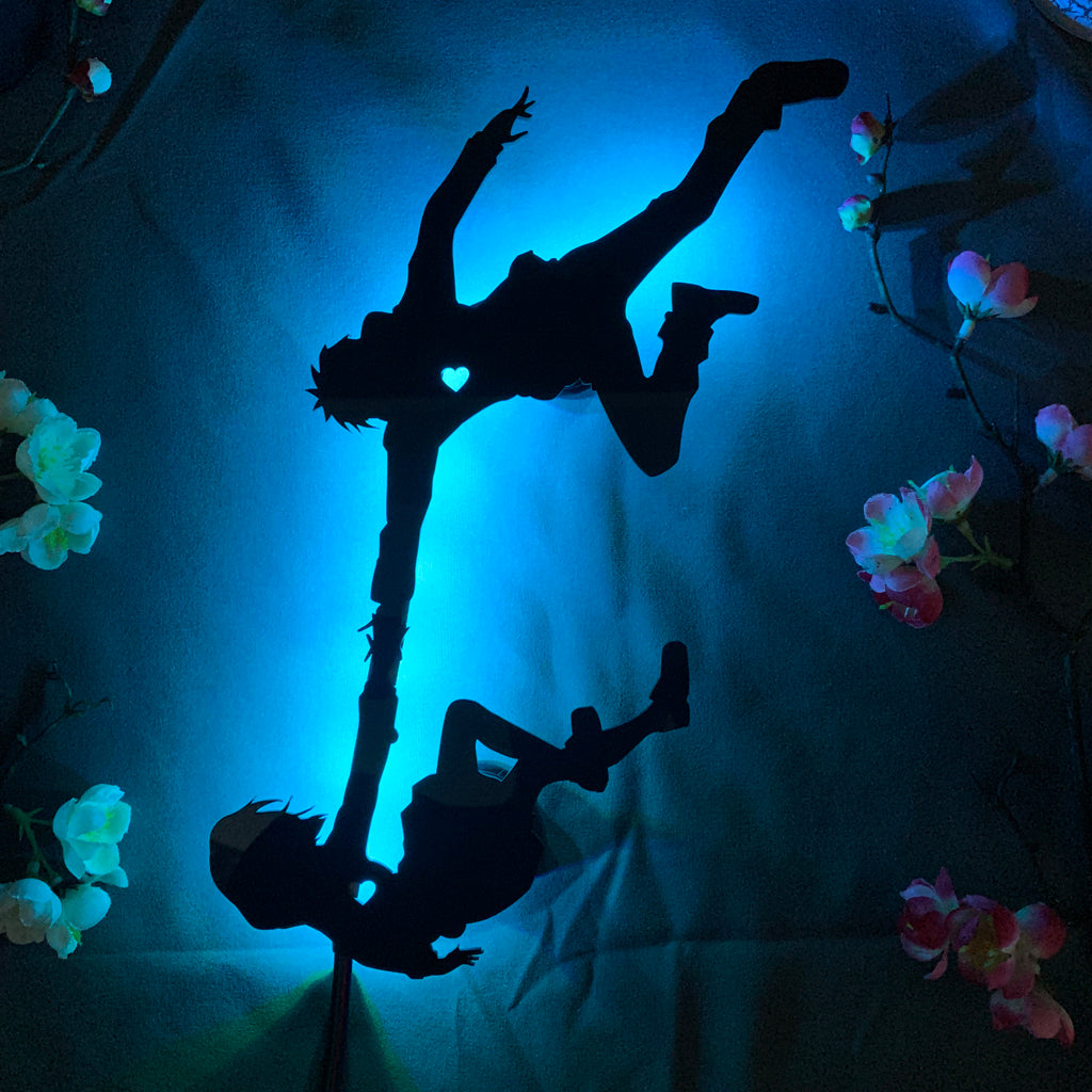 Your Name Kimi no Na wa Taki Tachibana and Mitsuha Miyamizu anime silhouette light